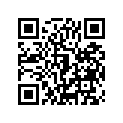 41073-0573-28H ホイ-ルアツシ,FR,ゴールド