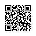 41073-0594-795 ホイ-ルアツシ，RR，シルバー
