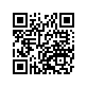 41073-0612-28H ホイ-ルアツシ,RR,ゴールド
