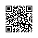 41073-1366-T6 ホイ-ルアツシ，RR，ホワイト NO.1