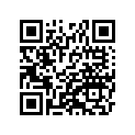 41073-1390-CJ ホイ-ルアツシ，rr，グリ-ン