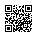41073-1393-DH ホイ-ルアツシ，FR，グレ-