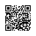 41073-1394-DH ホイ-ルアツシ，RR，グレ-