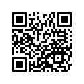 41073-1406-DH ホイ-ルアツシ，FR，グレ-