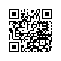 41073-1414-DH ホイ-ルアツシ，FR，グレ-