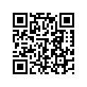 41073-1430-DH ホイ-ルアツシ，RR，グレ-