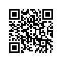 41073-1441-CJ ホイ-ルアツシ，FR，グリ-ン