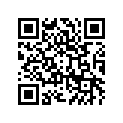 41073-1441-DH ホイ-ルアツシ，FR，グレ-