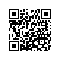41073-1449-DH ホイ-ルアツシ，RR，グレ-