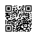 41073-1470-CJ ホイ-ルアツシ，RR，グリ-ン