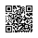 41073-1470-DH ホイ-ルアツシ，RR，グレ-