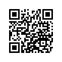 41073-1471-GE ホイ-ルアツシ，RR，グレ-