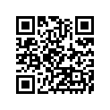 41073-1479-DH ホイ-ルアツシ，RR，グレ-