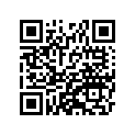 41073-1495-DH ホイ-ルアツシ，RR，グレ-
