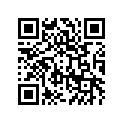 41073-1496-F8 ホイ-ルアツシ，FR，バイオレツト