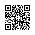 41073-1499-CJ ホイ-ルアツシ，RR，グリ-ン