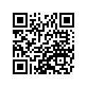41073-1499-DH ホイ-ルアツシ，RR，グレ-