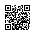 41073-1509-JD ホイ-ルアツシ，FR，グレ-