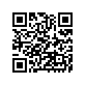 41073-1510-JD ホイ-ルアツシ，RR，グレ-