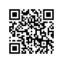 41073-1521-DH ホイ-ルアツシ，RR，グレー