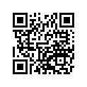 41073-1545-457 ホイ-ルアツシ，FR，ゴ-ルド