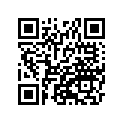41073-1568-DH ホイ-ルアツシ，RR，グレ-