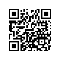 41073-1571-457 ホイ-ルアツシ，FR，ゴ-ルド
