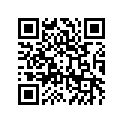 41073-1572-DH ホイ-ルアツシ，RR，グレ-