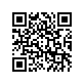 41073-1572-JD ホイ-ルアツシ，rr，グレ-