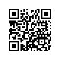41073-1580-JD ホイ-ルアツシ，RR，グレ-
