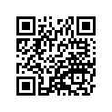 41073-1589-R2 ホイ-ルアツシ，RR，ブラツク