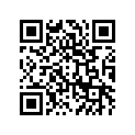 41073-1621-JD ホイ-ルアツシ，RR，グレ-