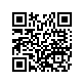 41073-1623-2A ホイ-ルアツシ，FR，グレ-スト-ン