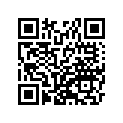 41073-1624-2A ホイ-ルアツシ，RR，グレ-スト-ン