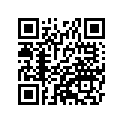 41073-1644-DH ホイ-ルアツシ，FR，グレ-