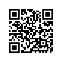 41073-1645-CJ ホイ-ルアツシ，rr，グリ-ン