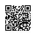 4107300392A 