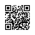 410731315T7 
