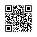 410731365T6 