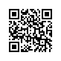 410731436T6 