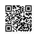 410731691 