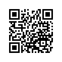 410735017 