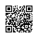 41078013 
