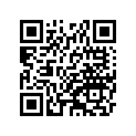 410781004 