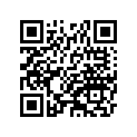 410781009 