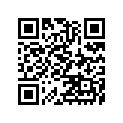 410781065 