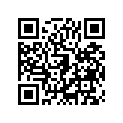 41080-0026-FB デイスク，RR，グレー
