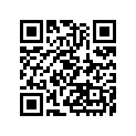41080-0036-487 デイスク，RR，ゴールド