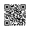41080-0136-487 デイスク，RR，ゴールド