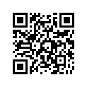41080-1311-FB デイスク，RR，グレ-